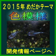 �Q�O�P�T�N�߂����J���e�[�}�@�F�͗l�@���_�J���