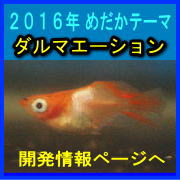 �Q�O�P�U�N�@�߂����e�[�}�@�_���}�G�[�V�����i�_���}���_�J����̂ɊJ�����Ă����܂��B�j