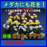 ���_�J�̎Y�����Ɛ��������i�t�����[�A�����W�����g�j�����˂����i�A�͂Ȃ����f�U�����j�̂��Љ�ł��B