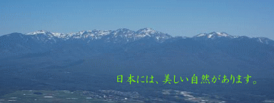 �߂����̎�ށA�F�X�B���{�߂����i��J���A���Y�A�̔��@��̂߂����@�������Ɓ@�ł��B